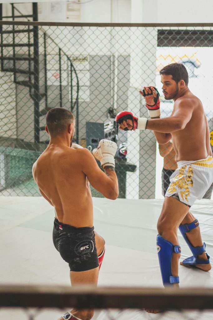 Fighting.dk giver dig overblik over MMA-verdenen og de største kampe